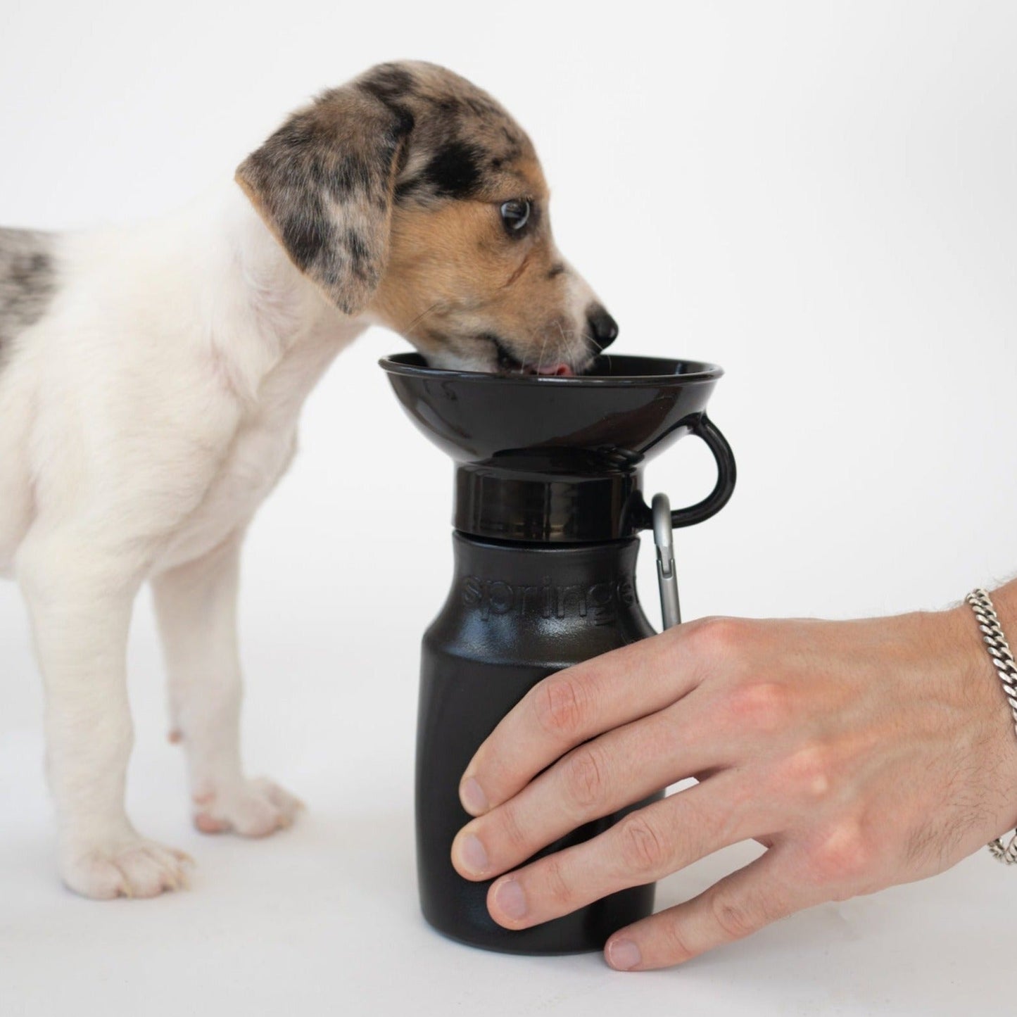 15oz Original Dog Travel Water Bottle for On-the-Go Hydration
