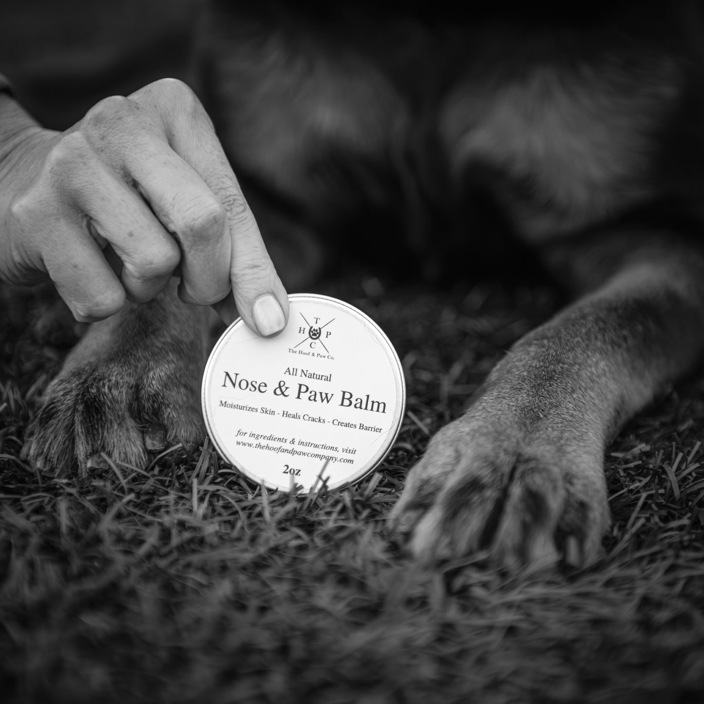 Nose & Paw Balm for Dogs (2oz) | Natural Skin Protection