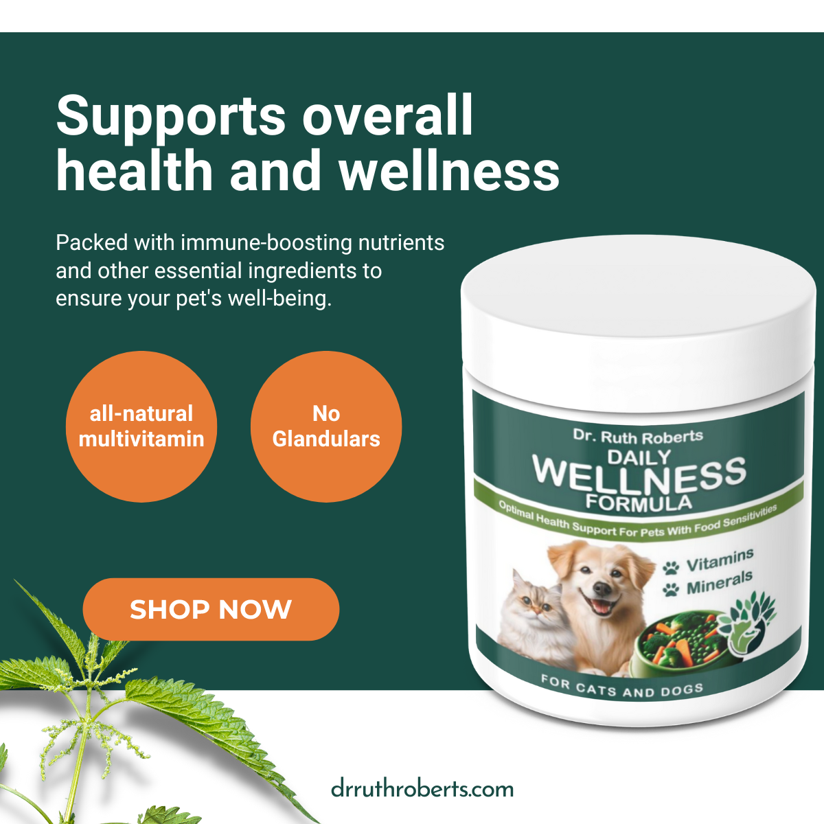 Pet Daily Wellness Formula for Pork and Beef Allergies: Multi-Vitamin Powder | 120 Count