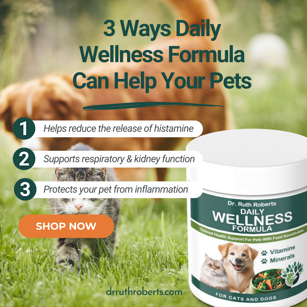 Pet Daily Wellness Formula for Pork and Beef Allergies: Multi-Vitamin Powder | 120 Count