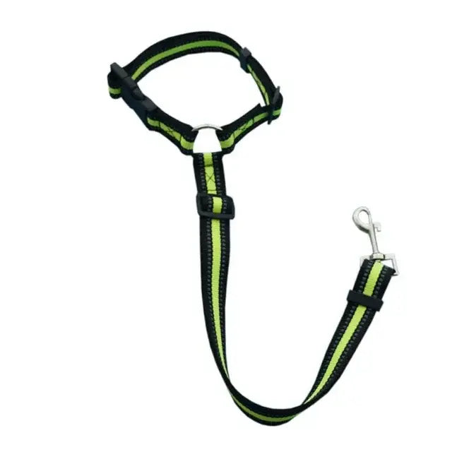 Pet Car Seat Belt and Harness Set for Dogs and Cats
