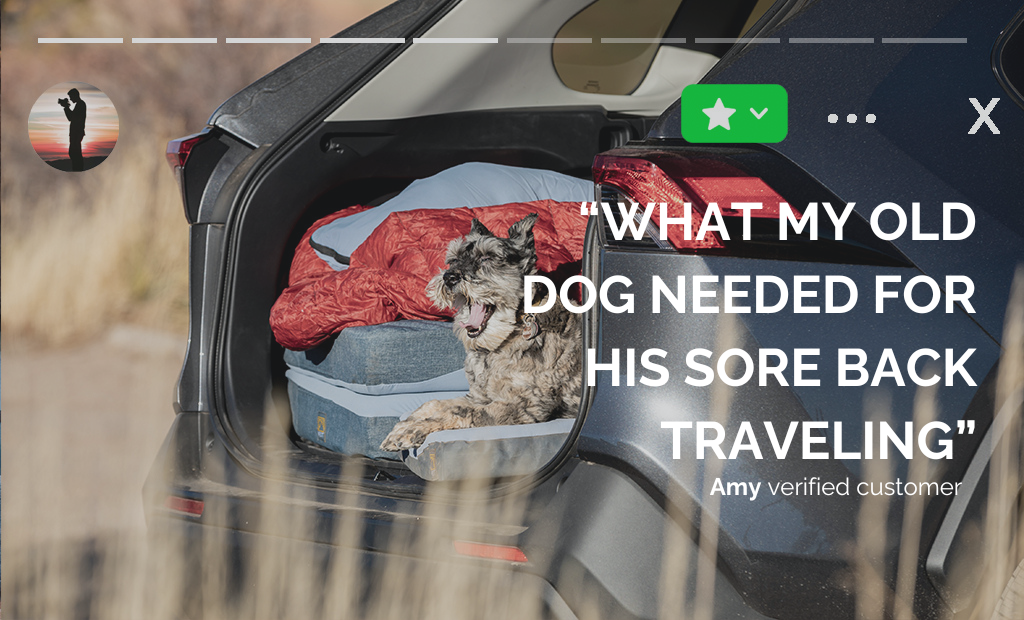 Premium Memory Foam Travel Dog Bed | Rugged & Packable