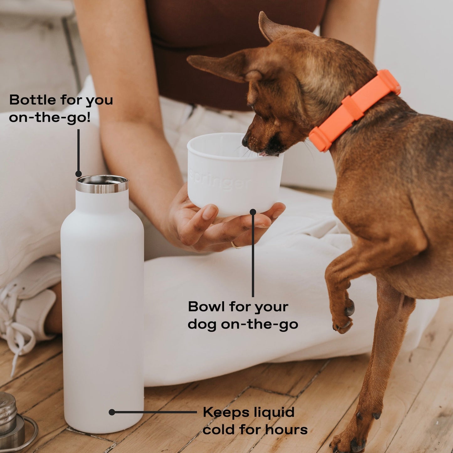 24oz Dog & Me Insulated Water Bottle with Detachable Dog Bowl