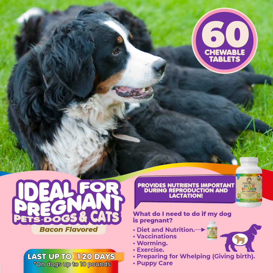 Prenatal Multivitamin for Dogs and Cats: Amino Acids & Folic Acid Support | 60 Count