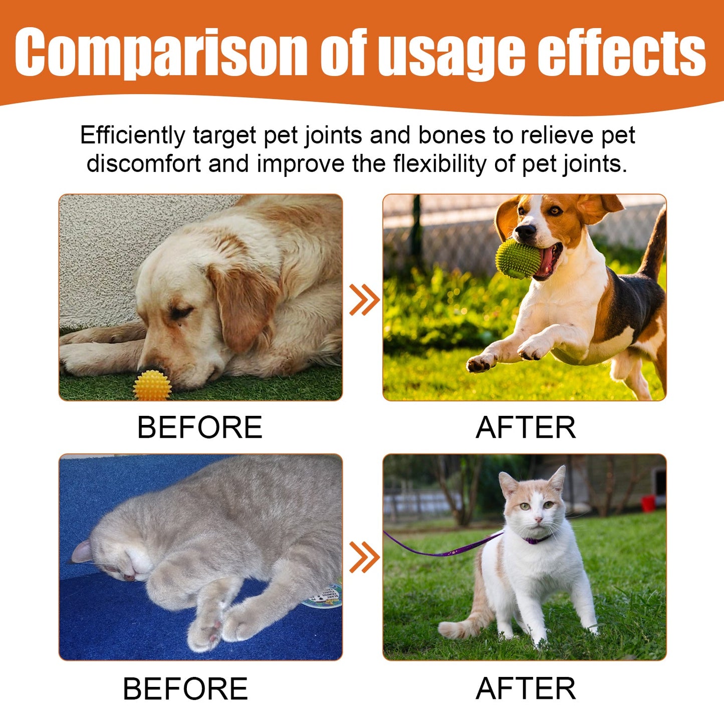 Pet Bee Venom Joint Care Oil – Vitamin K2 & Arnica Relief for Dogs & Cats