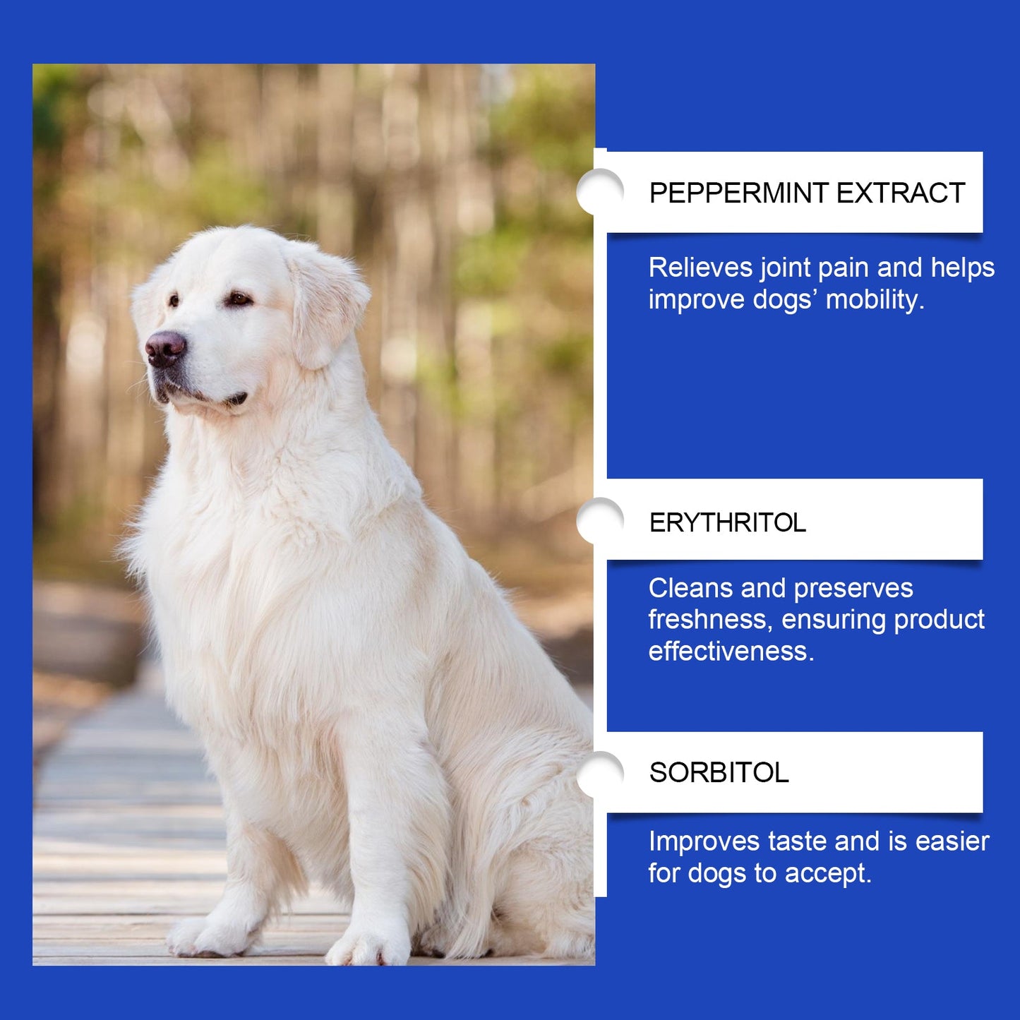 Daily Pet Dog Joint Care Supplement – Liquid Joint Pain Relief & Mobility Agent for Dogs