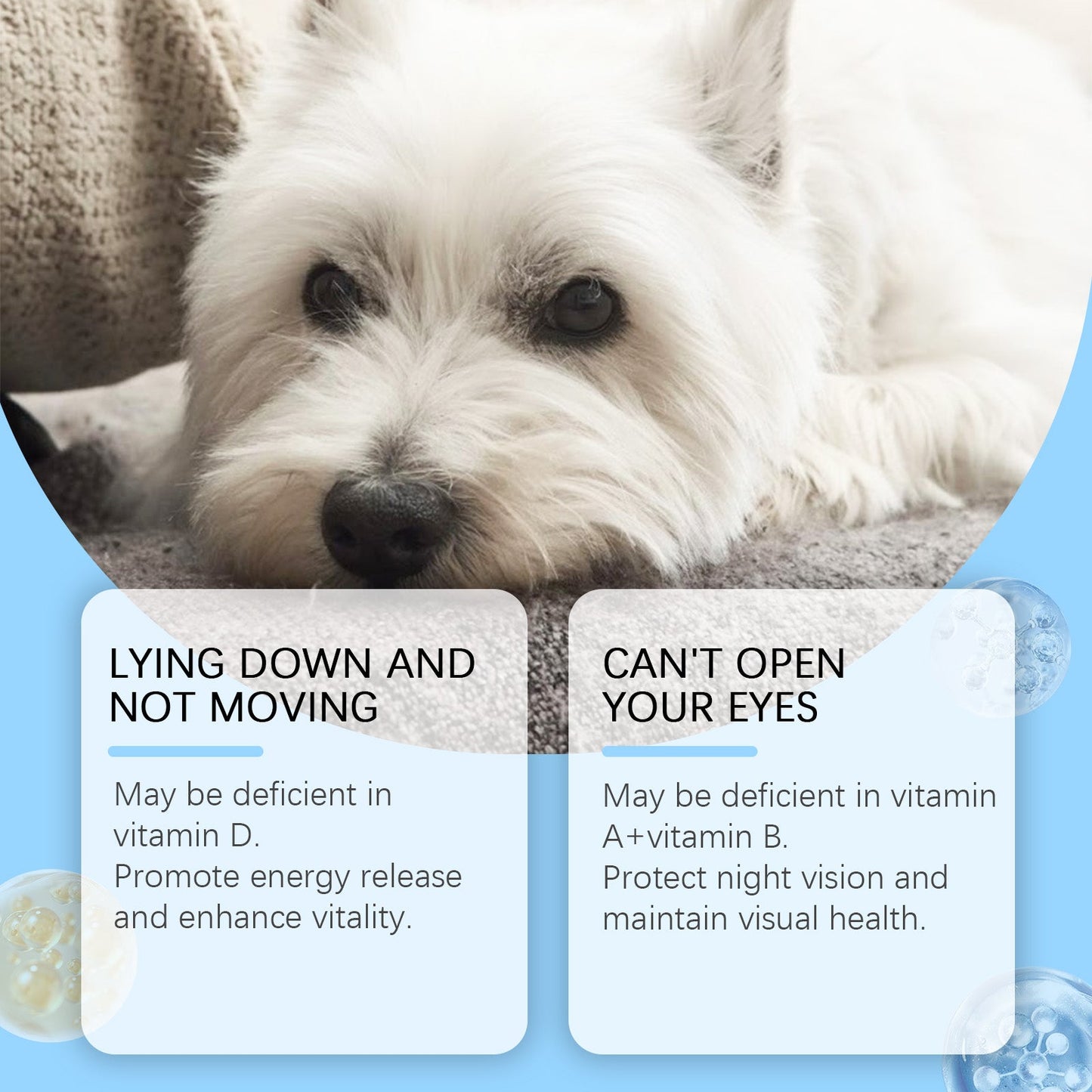 Multivitamin Tablets for Dogs and Cats: Growth Support with Vitamin A | Puppies & Adults
