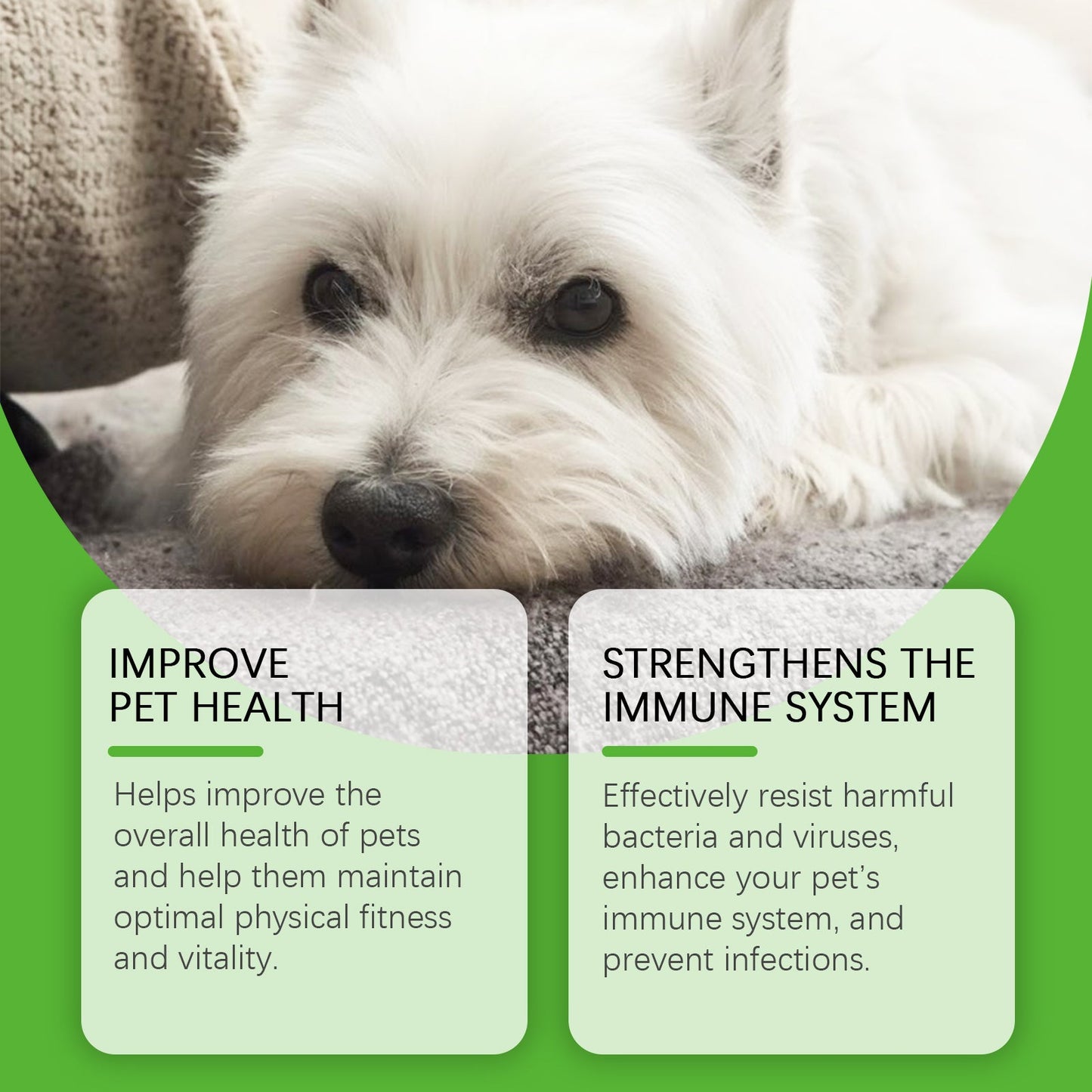 Dietary Supplements for Dogs: Natural Immune Booster with Sorbitol and Erythritol