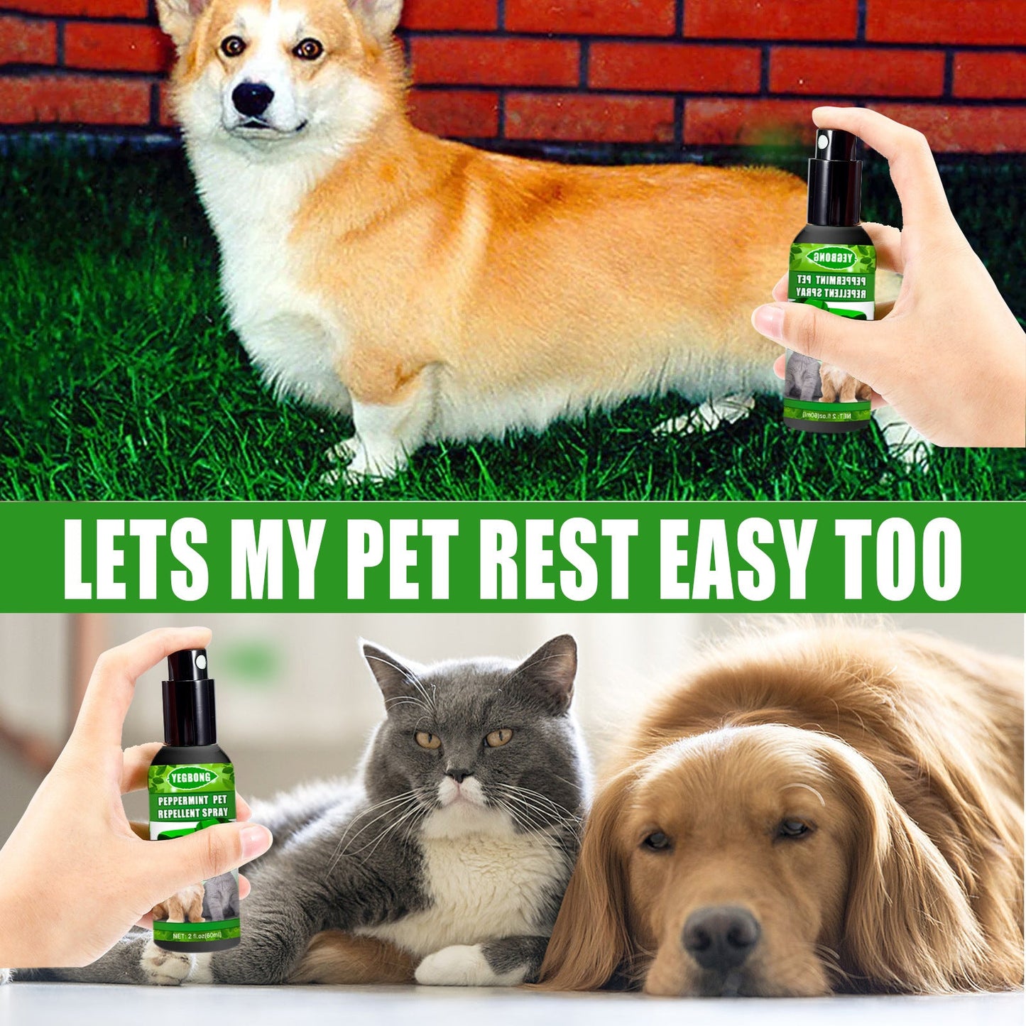 Peppermint Pet Repellent Spray for Dogs and Cats | Natural Flea and Mite Control
