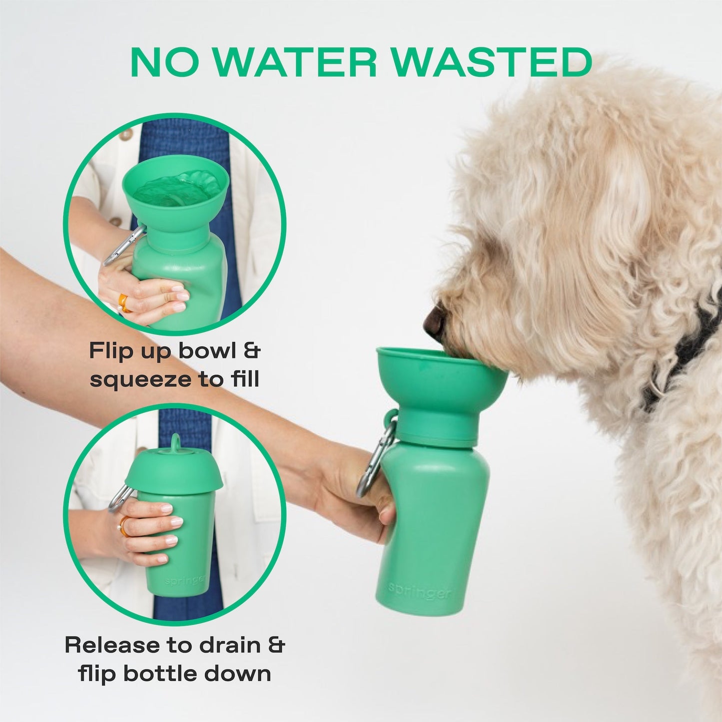 20oz Flip Dog Travel Water Bottle with Fold-Out Bowl