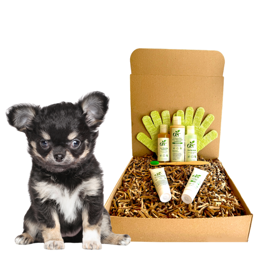 Dogs Sensitive Grooming Kit | 5-Piece Natural Set