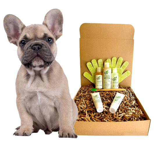 Organic Grooming Kit for Dogs | 4-Furry Dogs Pet Care Set