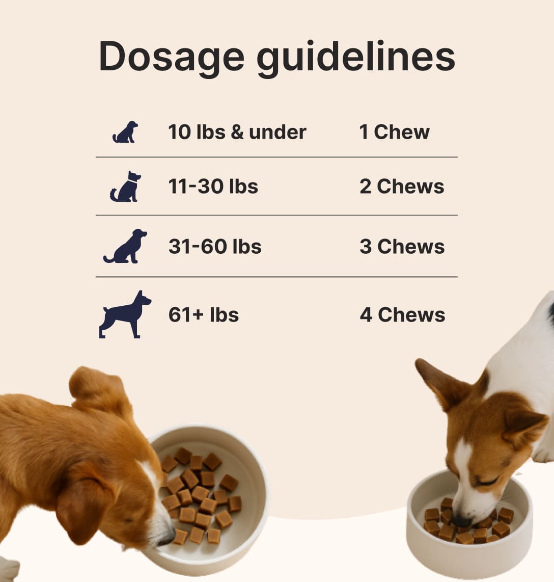Daily Joint and Multivitamin Soft Chews for Dogs – Glucosamine and Omega 3 Dog Vitamins