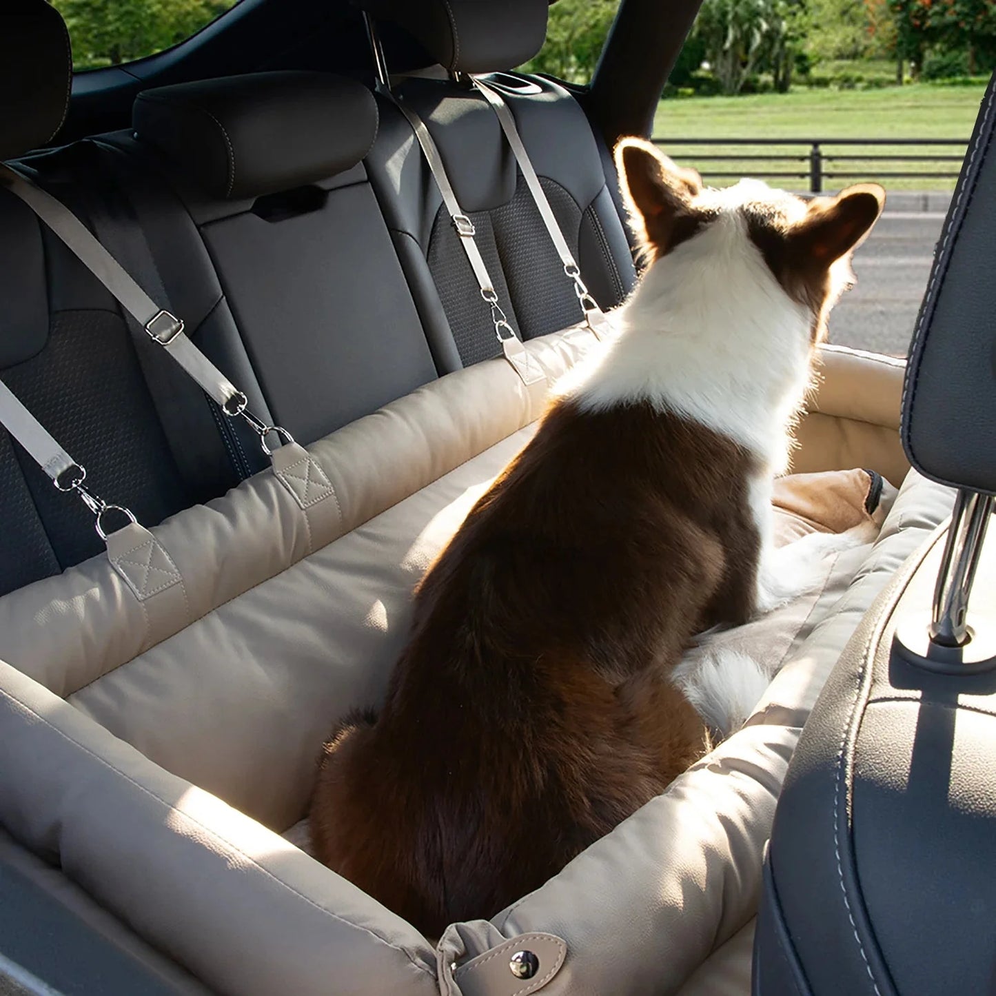Double Dog Car Seat Bed for Two Small Pets