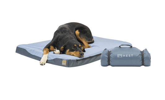 Premium Memory Foam Travel Dog Bed | Rugged & Packable