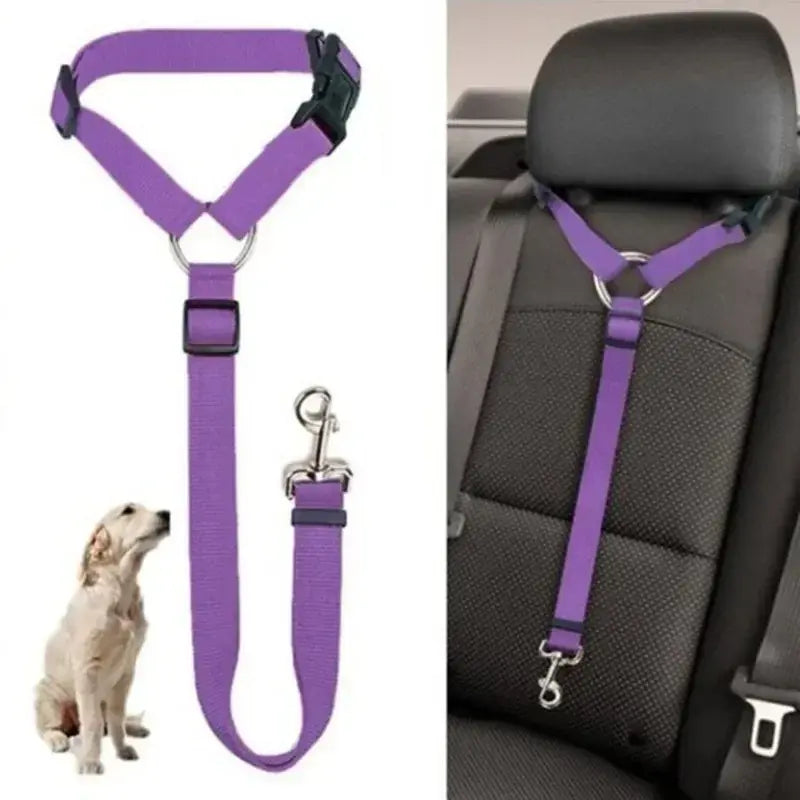 Pet Car Seat Belt and Harness Set for Dogs and Cats