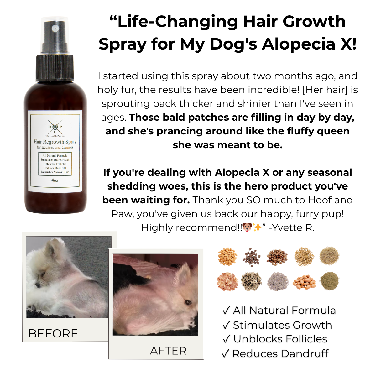 Hair Support & Coat Renewal Spray for Dogs | Natural Hair Growth
