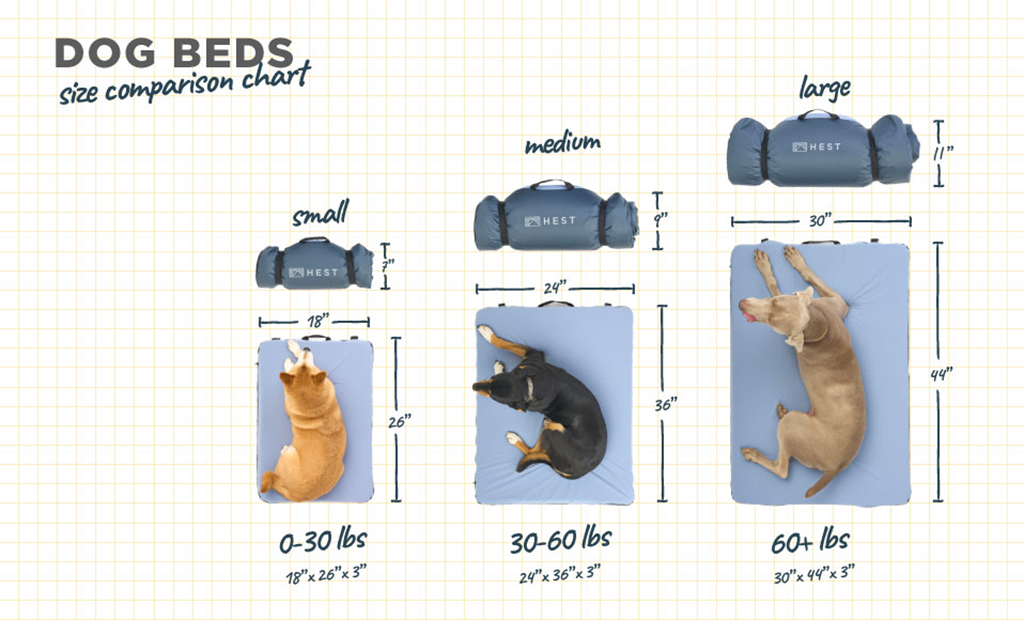 Premium Memory Foam Travel Dog Bed | Rugged & Packable