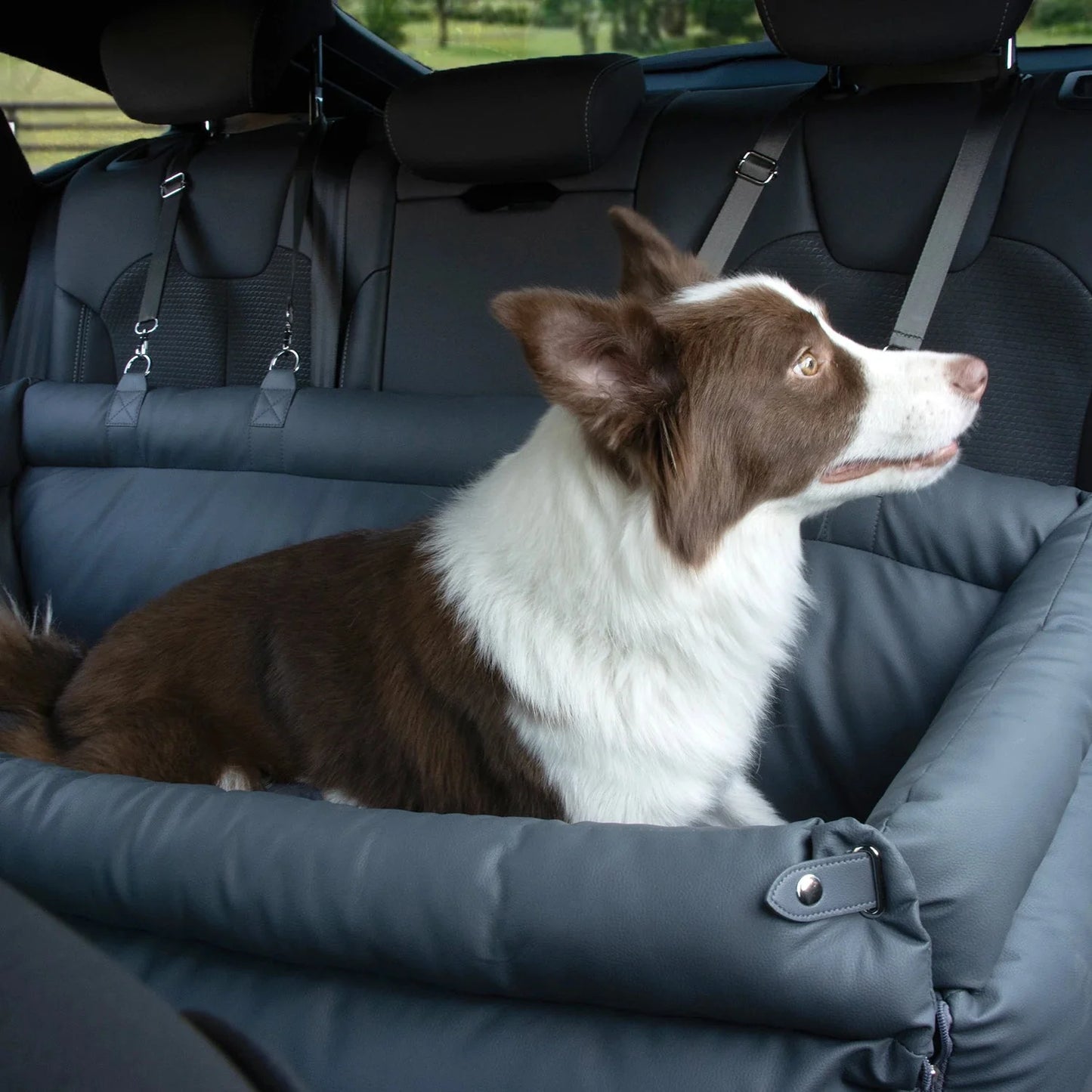 Double Dog Car Seat Bed for Two Small Pets