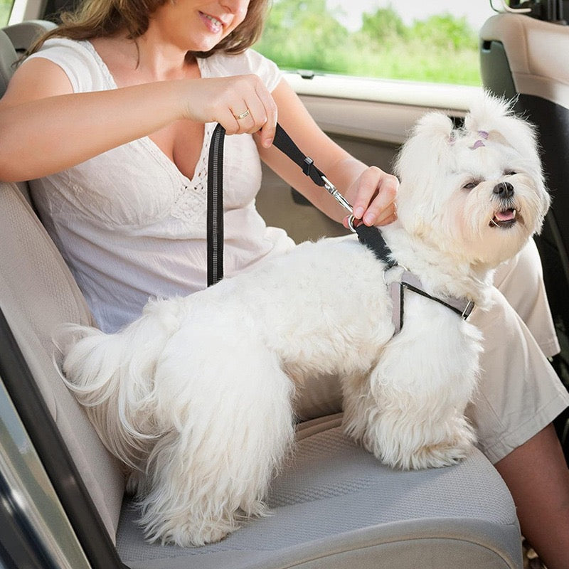 Adjustable Pet Car Seat Belt for Dogs and Cats | Elastic Safety Lead for Pets