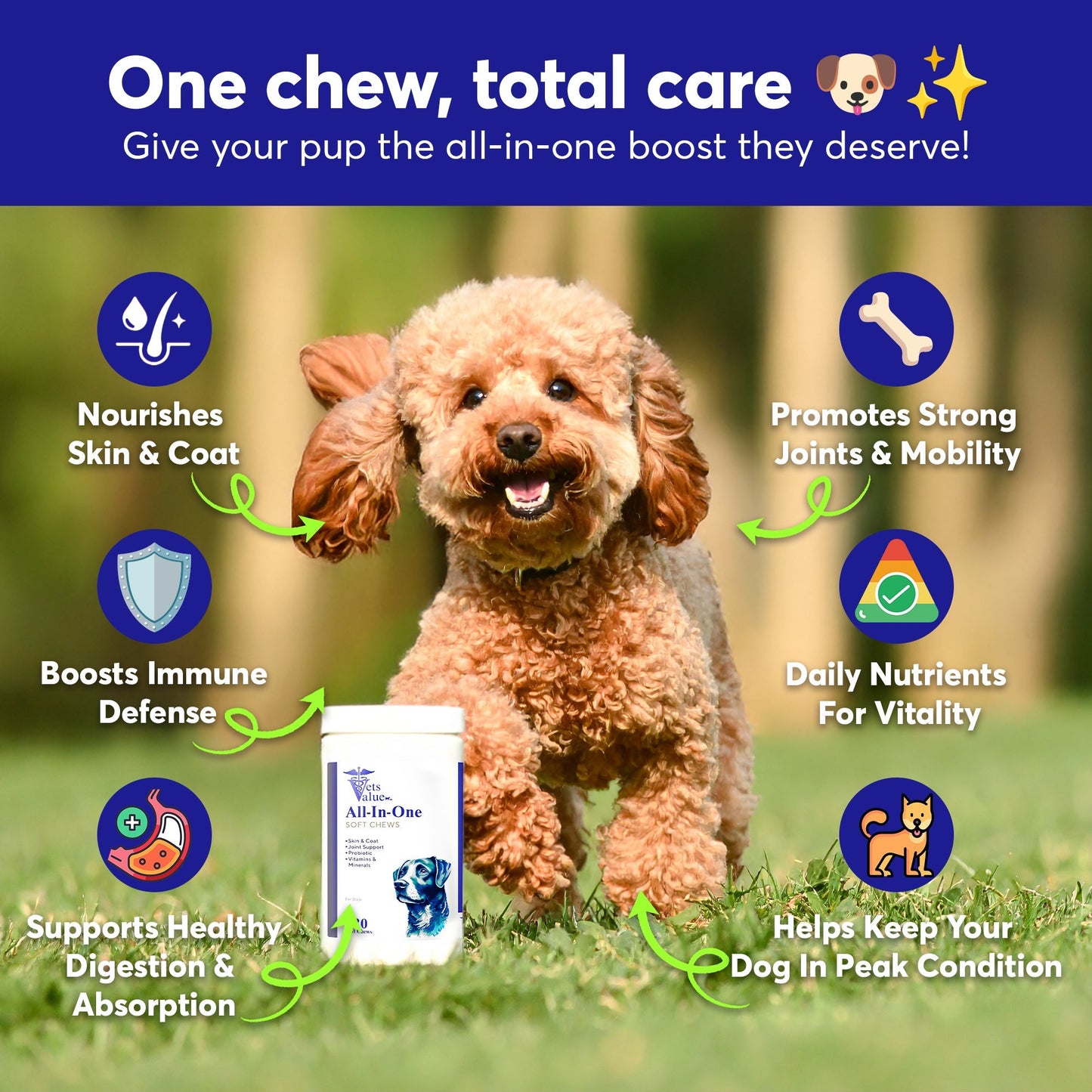 5-in-1 Dog Multivitamin Soft Chews: Advanced Joint, Skin, and Digestive Support for All Breeds