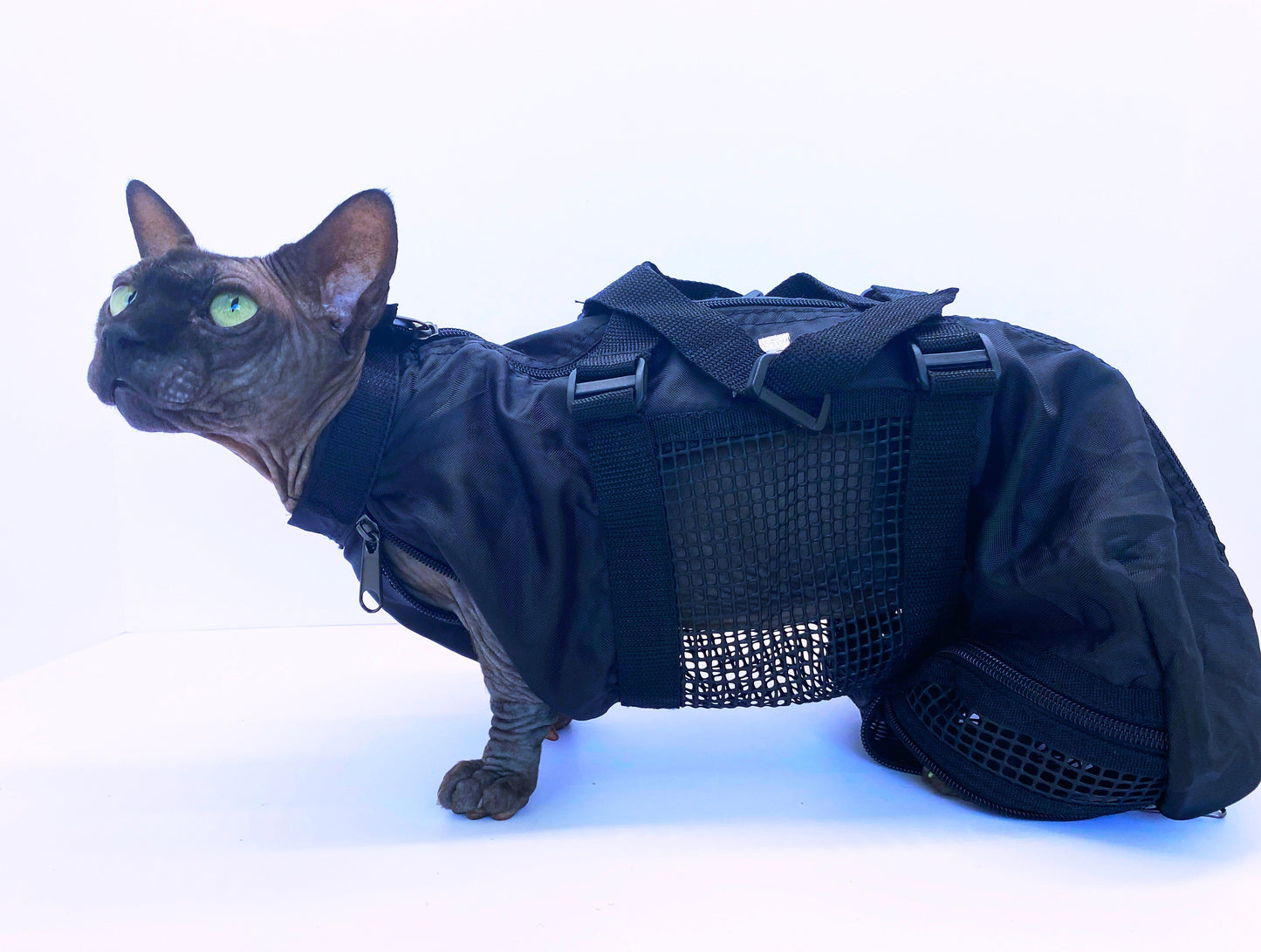 Cat Nail Trimming Bag | Grooming Bag for Cats | Safe Restraint for Pet Nail Care