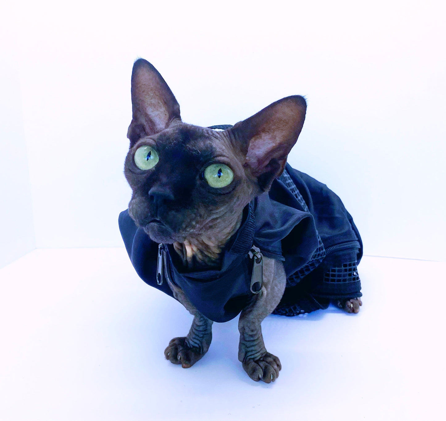 Cat Nail Trimming Bag | Grooming Bag for Cats | Safe Restraint for Pet Nail Care