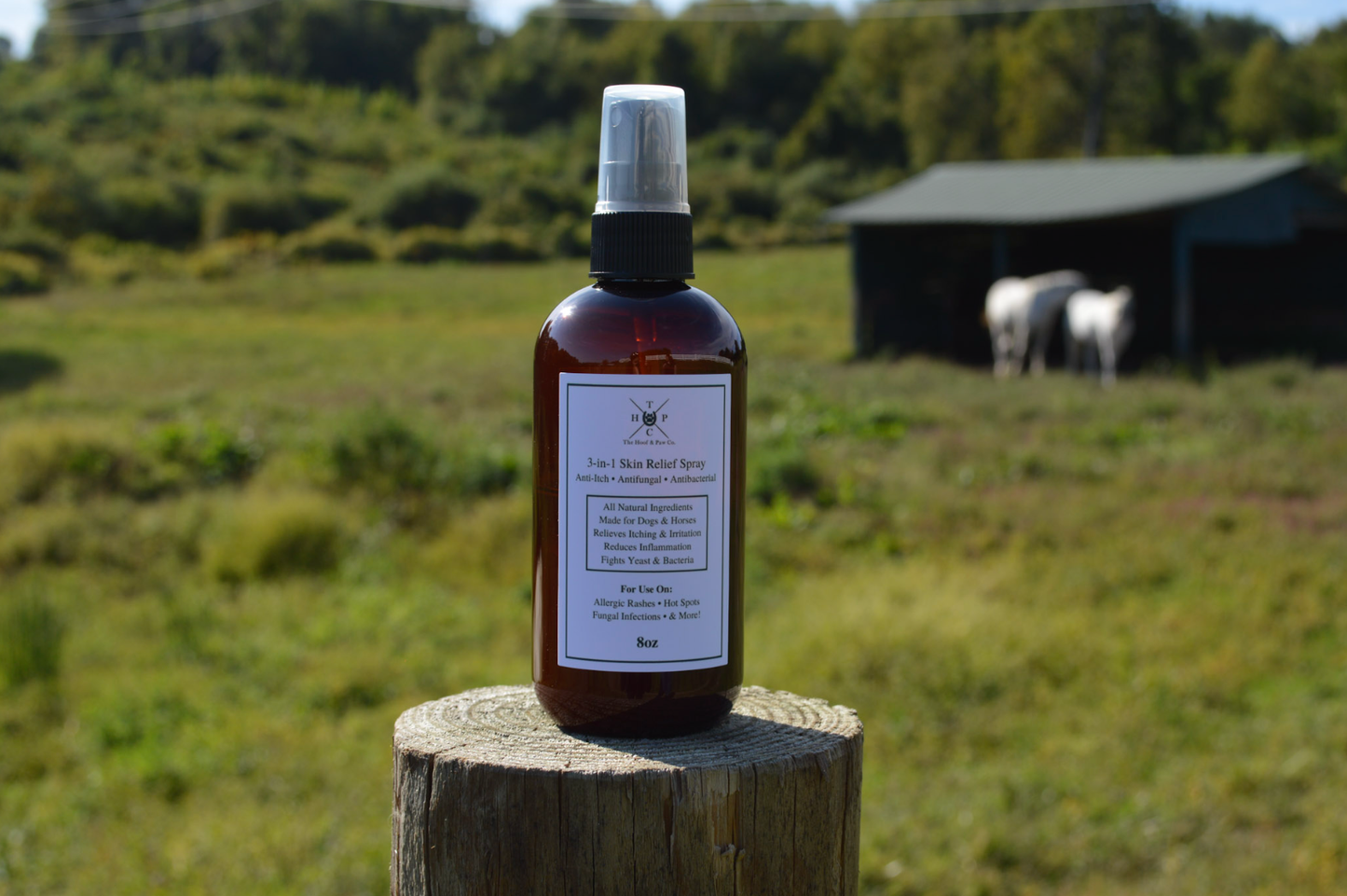 3-in-1 Skin Relief Spray for Dogs | Natural Topical Care
