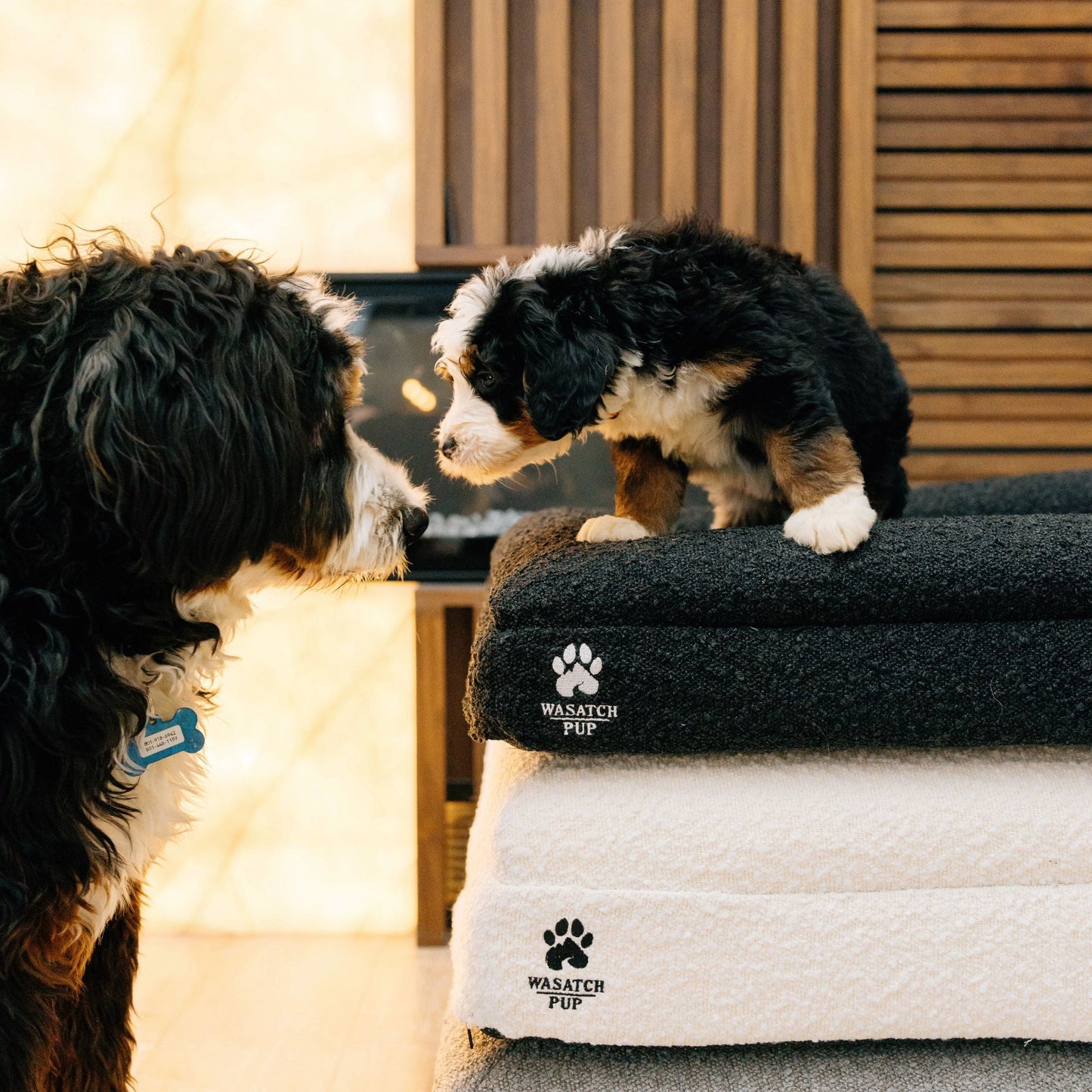 Luxury Orthopedic Dog Bed With Waterproof Liner