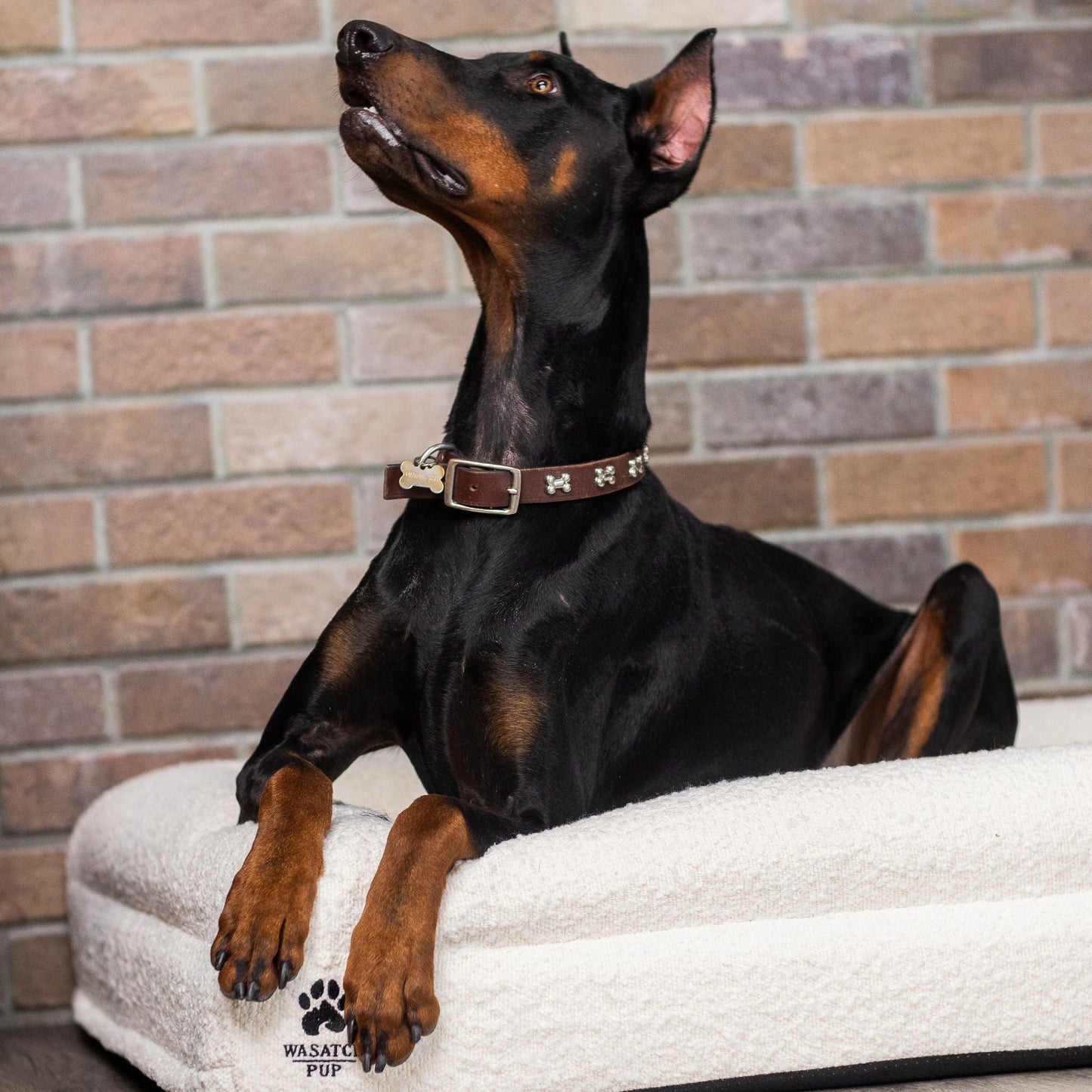 Luxury Orthopedic Dog Bed With Waterproof Liner