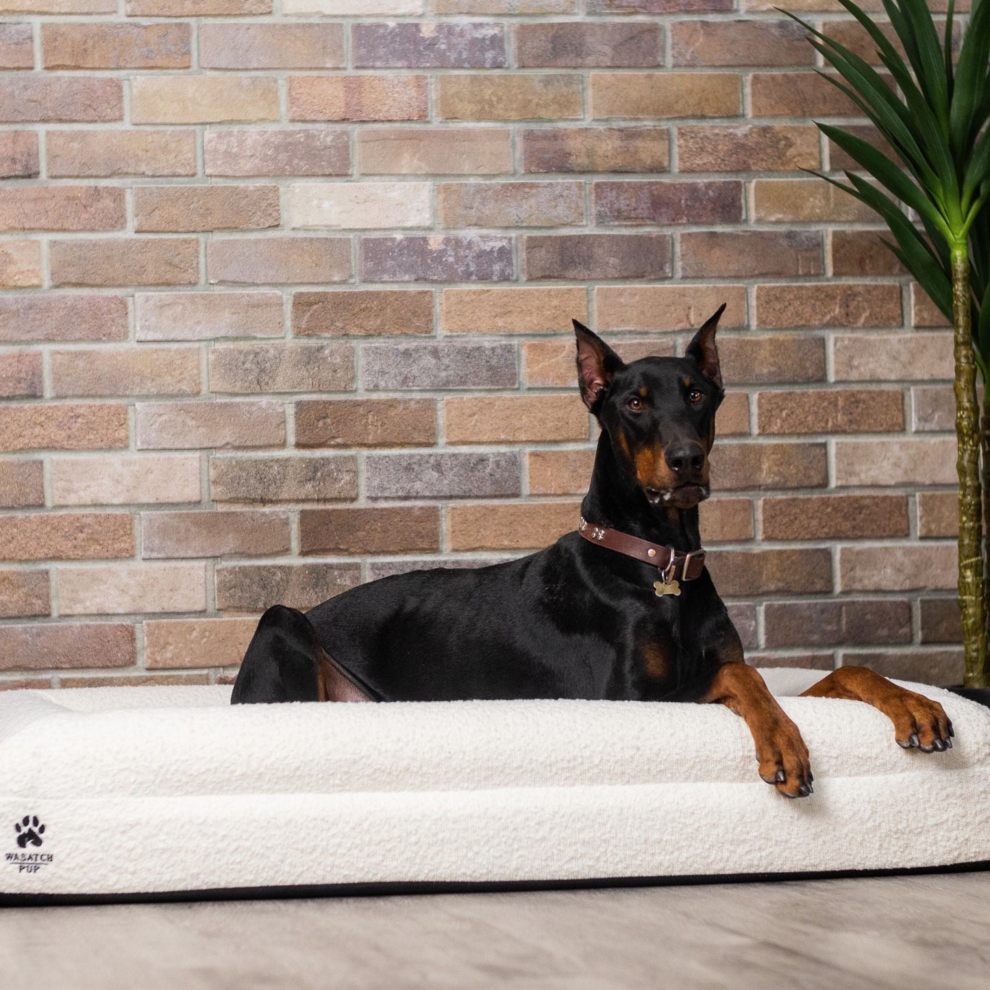 Luxury Orthopedic Dog Bed With Waterproof Liner