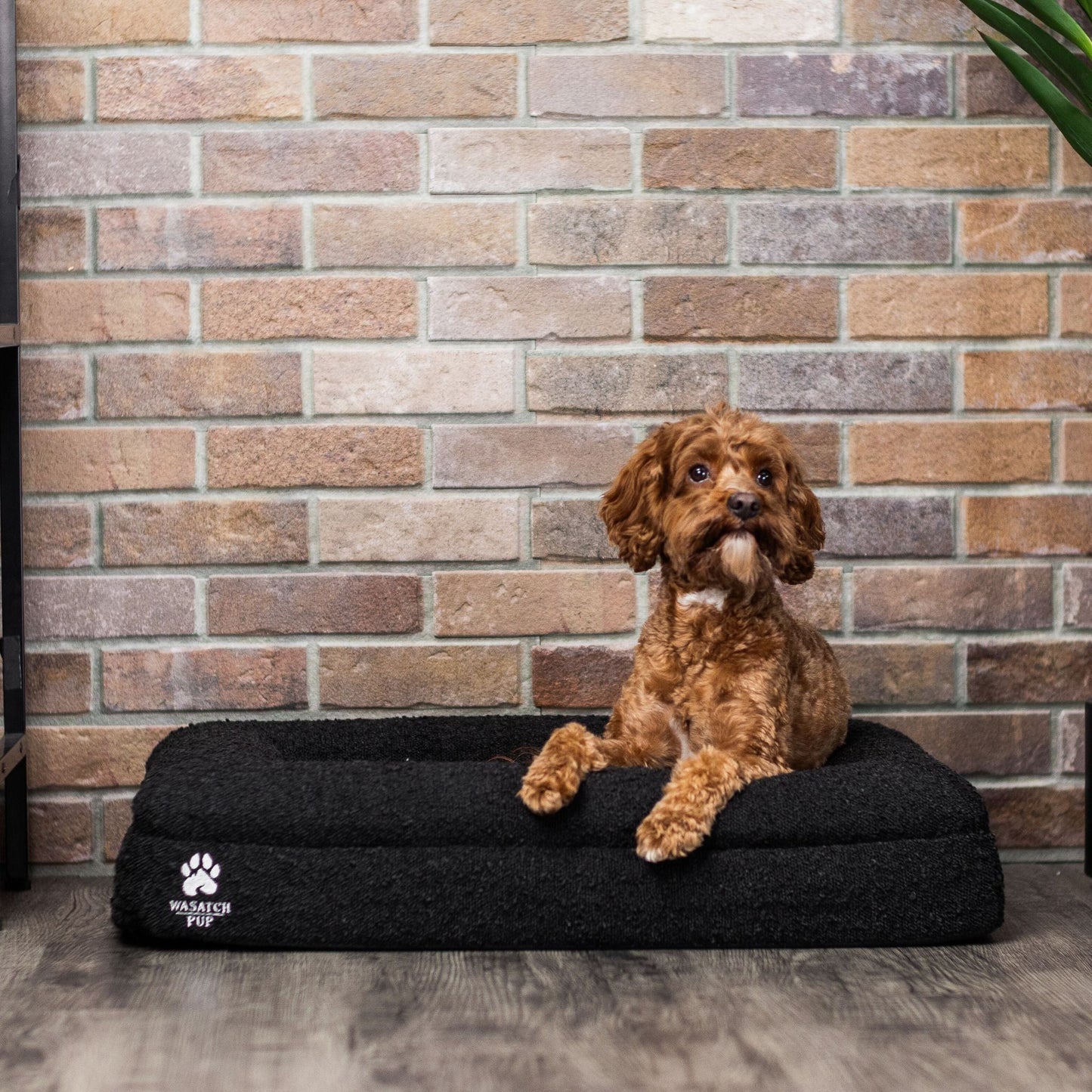 Luxury Orthopedic Dog Bed With Waterproof Liner