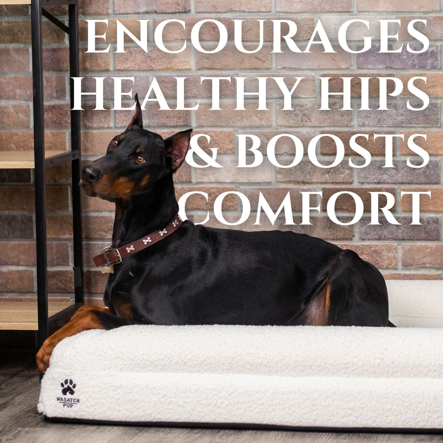 Luxury Orthopedic Dog Bed With Waterproof Liner
