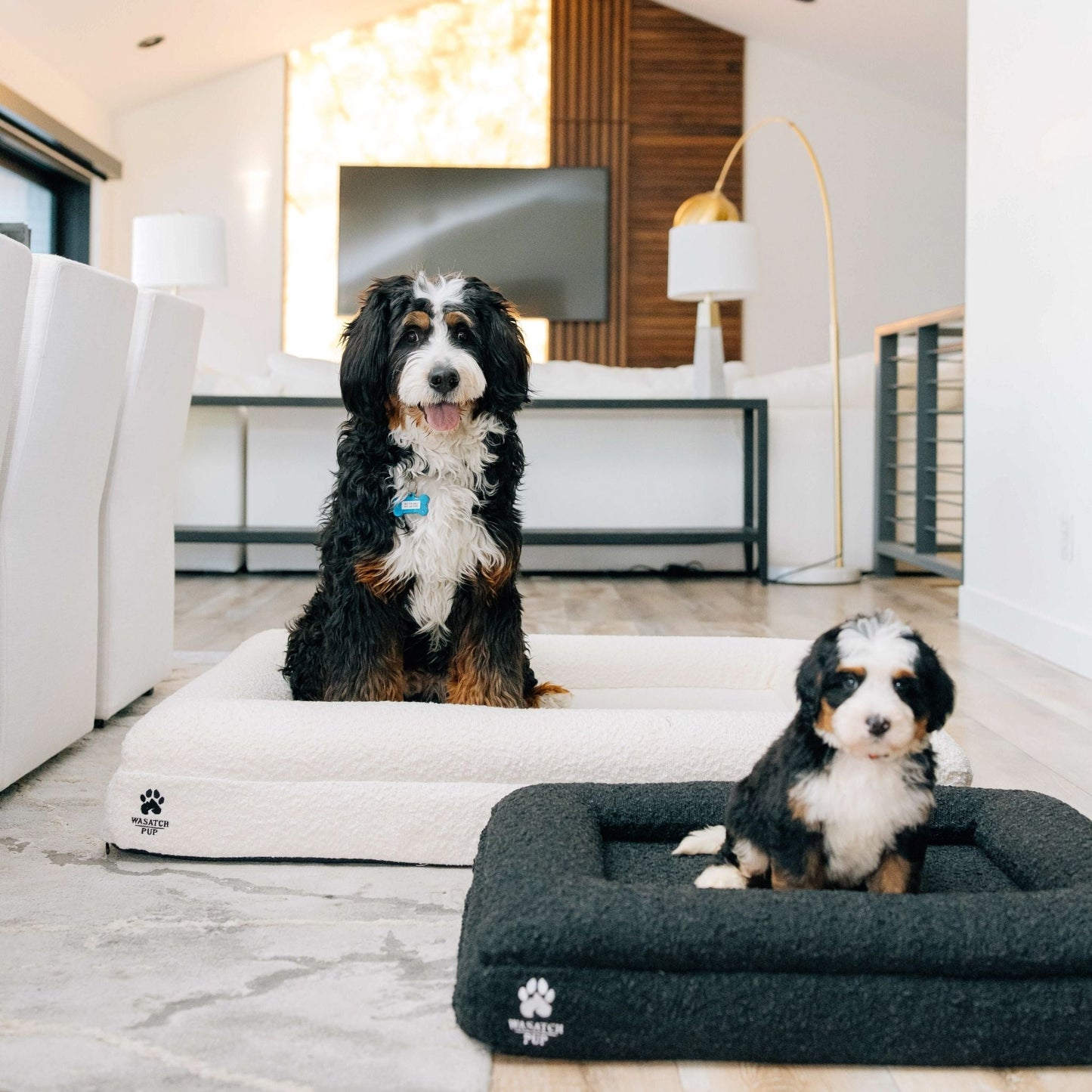 Luxury Orthopedic Dog Bed With Waterproof Liner