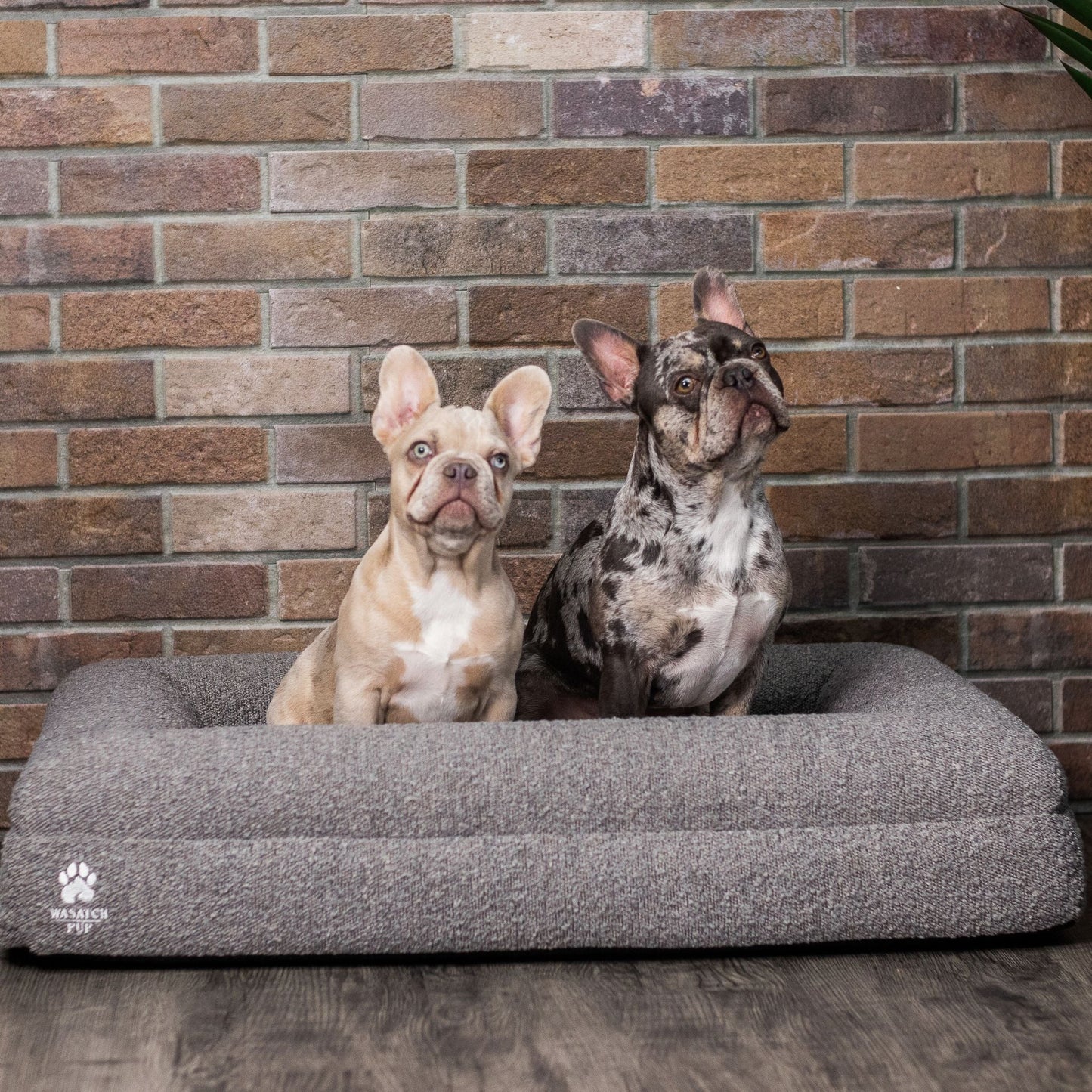 Luxury Orthopedic Dog Bed With Waterproof Liner