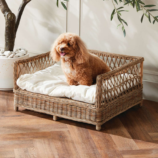 Rattan Dog Bed | Handmade Wicker Frame | Soft Cushion | Medium