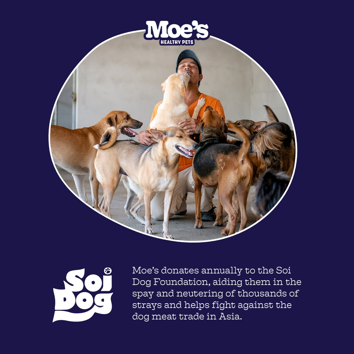 Moe’s Healthy Pets Hip & Joint Chews for Dogs – 600mg Glucosamine & MSM Soft Chews