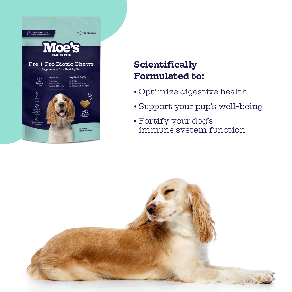 Pre + Pro Biotic Dog Chews – Digestive Health Support