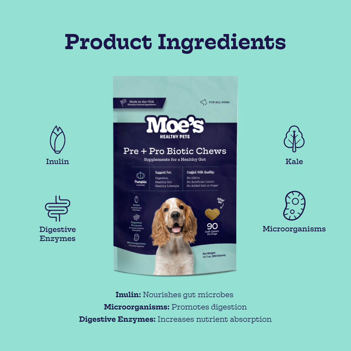 Pre + Pro Biotic Dog Chews – Digestive Health Support