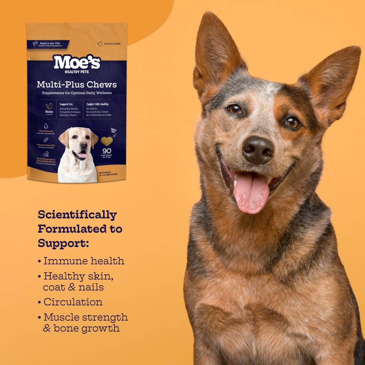 Multi-Plus Chews for Dogs: Daily Multivitamin with Glucosamine and Omega-3 | 90 Count