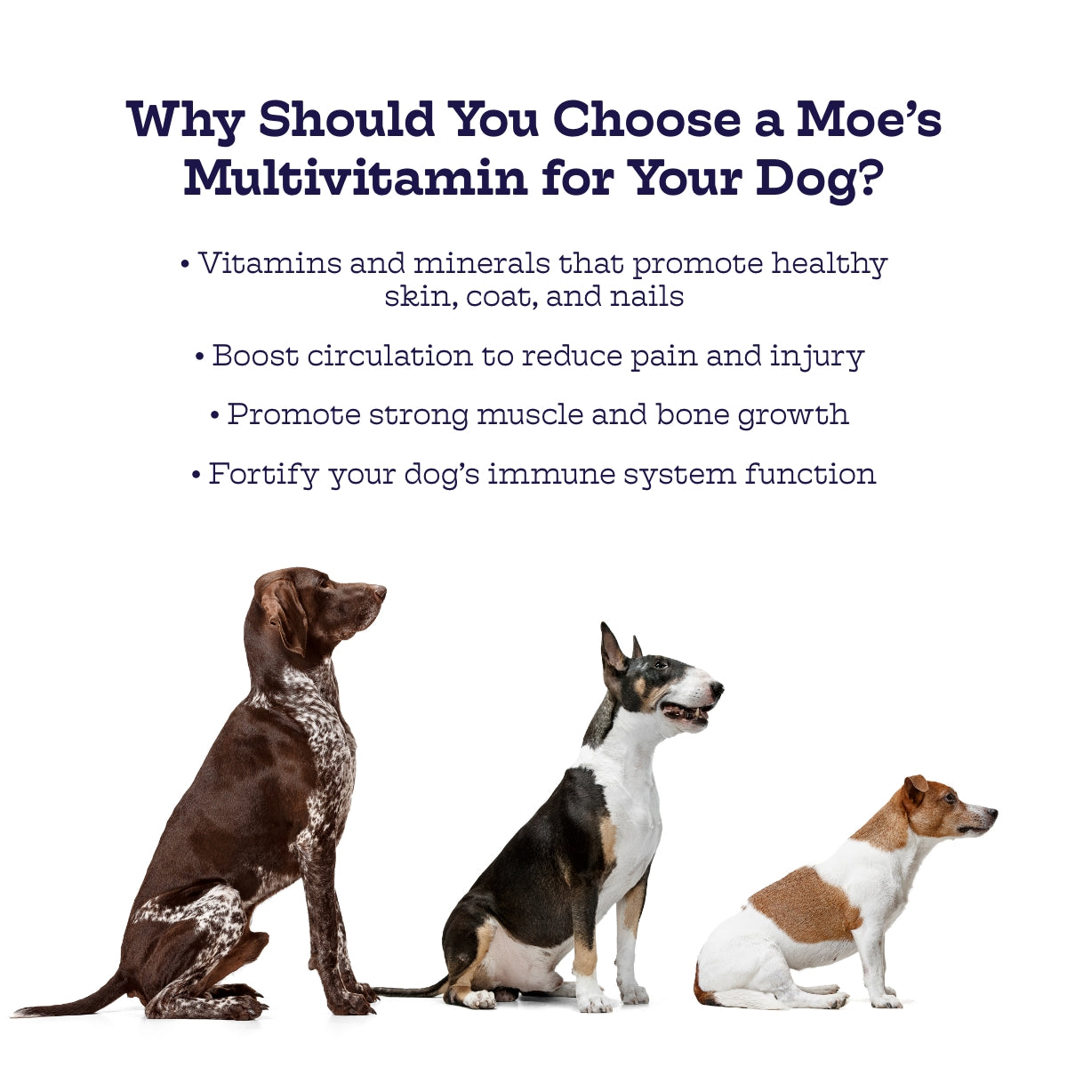 Multi-Plus Chews for Dogs: Daily Multivitamin with Glucosamine and Omega-3 | 90 Count
