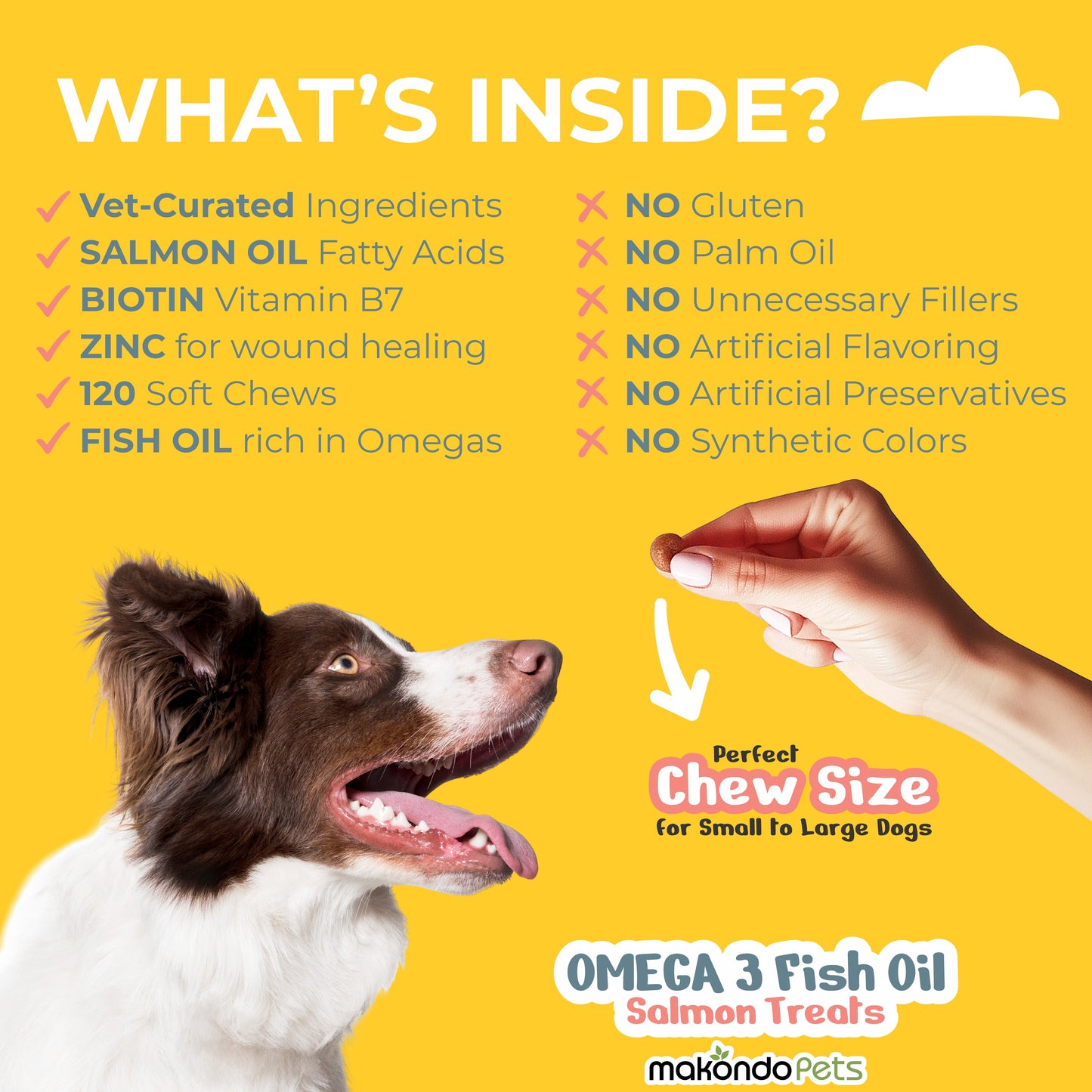Omega 3 for Dogs – 120 Salmon Oil Soft Chews – Fish Oil Skin and Coat Supplement