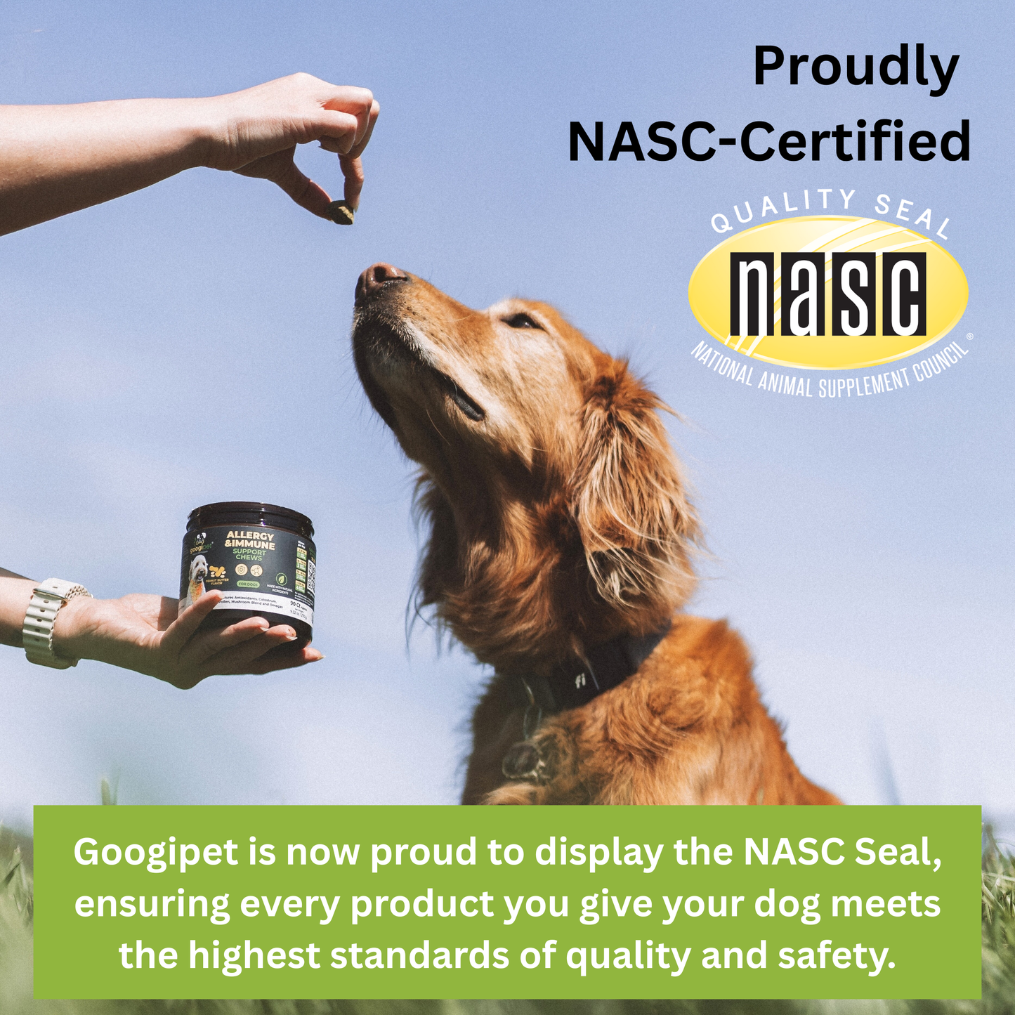 Agility+ Advanced Hip and Joint Chews for Dogs – Glucosamine and Green Lipped Mussel