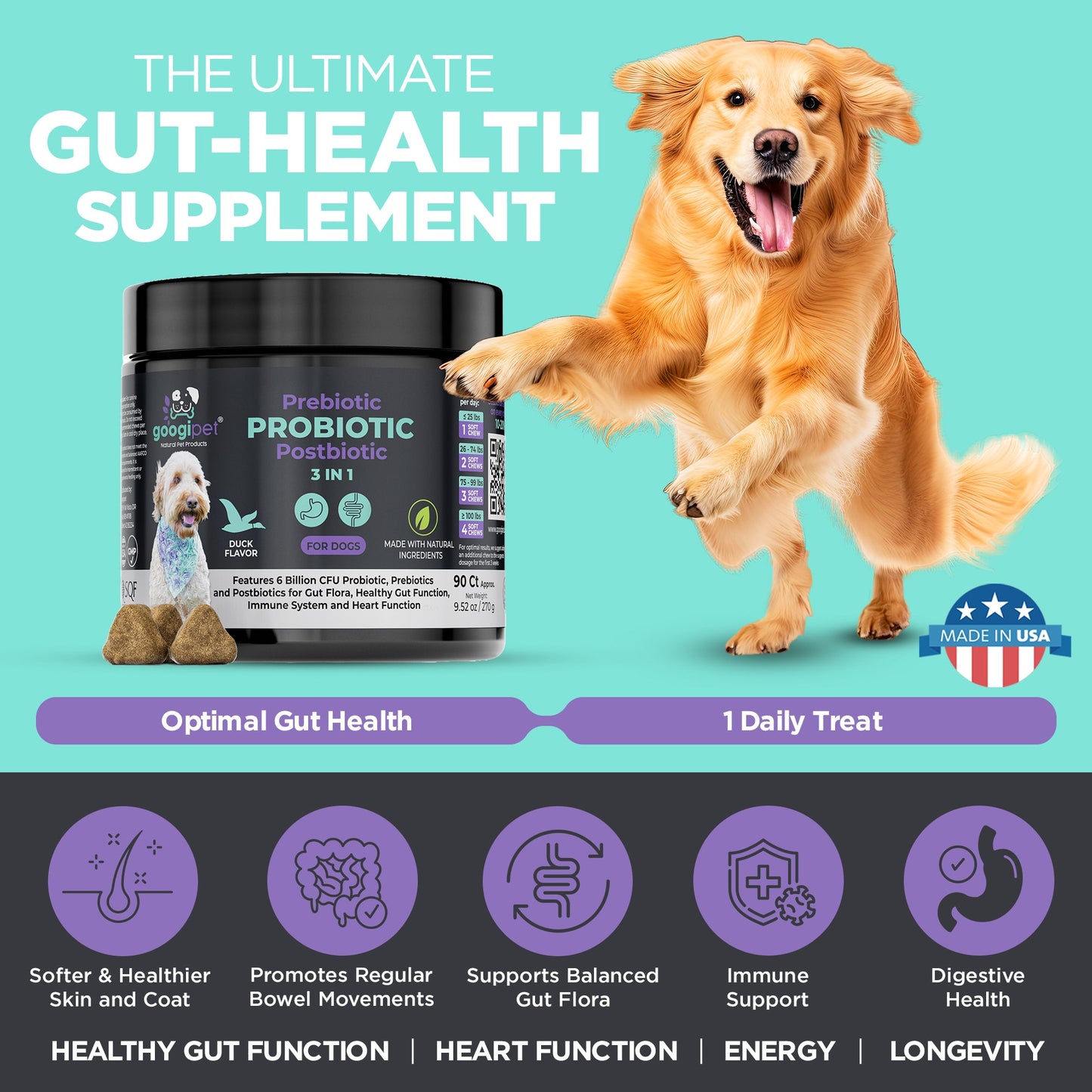 3-in-1 Probiotic Chews for Dogs with Prebiotics and Postbiotics: 1 Billion CFU | 90 Count