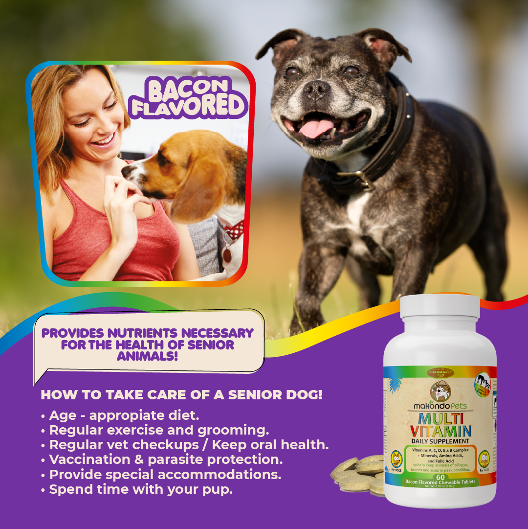 Prenatal Multivitamin for Dogs and Cats: Amino Acids & Folic Acid Support | 60 Count