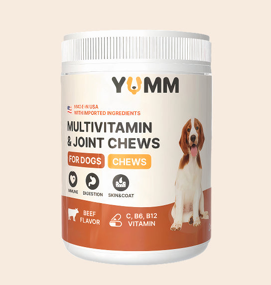 Daily Joint and Multivitamin Soft Chews for Dogs – Glucosamine and Omega 3 Dog Vitamins