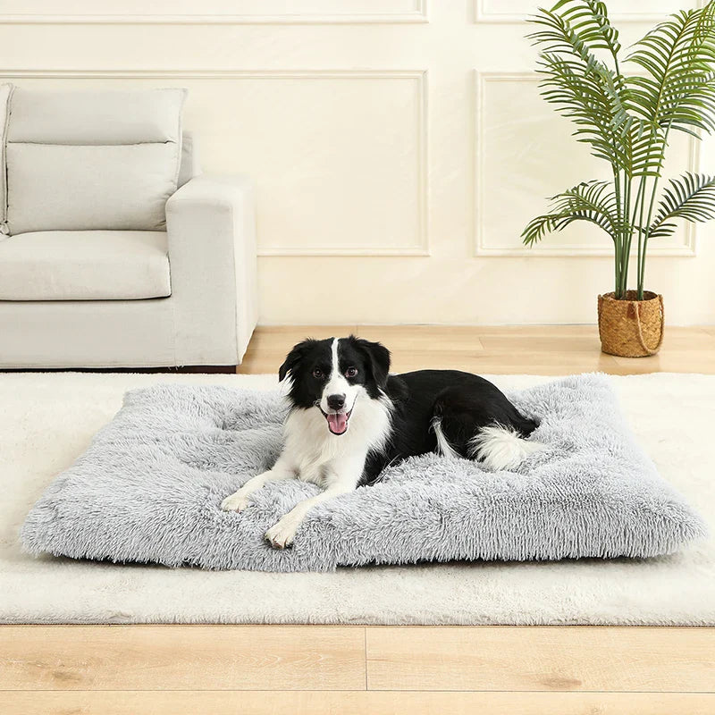 Orthopedic Plush Dog Bed | Soft Grey Sleeping Pet Sofa Mat
