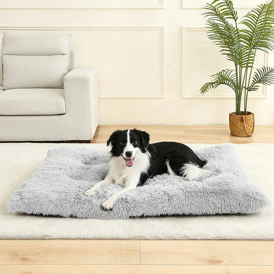 Orthopedic Plush Dog Bed | Soft Grey Sleeping Pet Sofa Mat