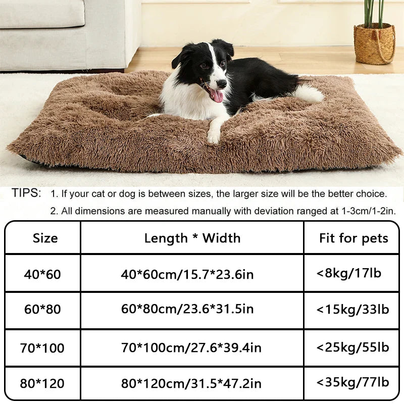 Orthopedic Plush Dog Bed | Soft Grey Sleeping Pet Sofa Mat