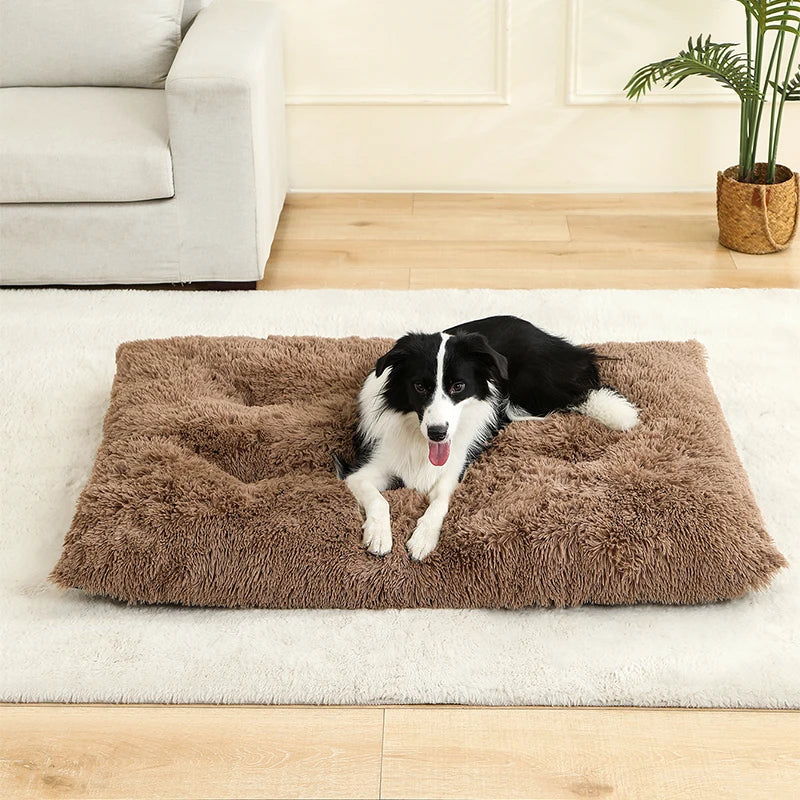 Orthopedic Plush Dog Bed | Soft Grey Sleeping Pet Sofa Mat
